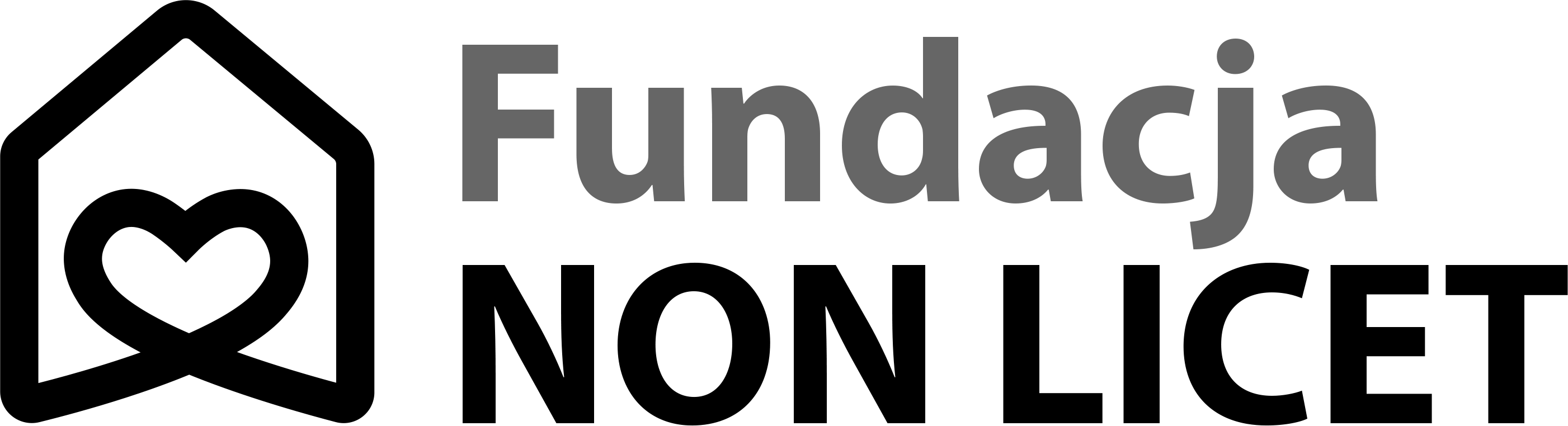 Logo Fundacji Non Licet