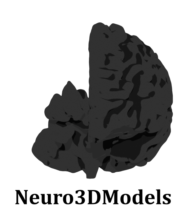 Logo: Neuro3DModels