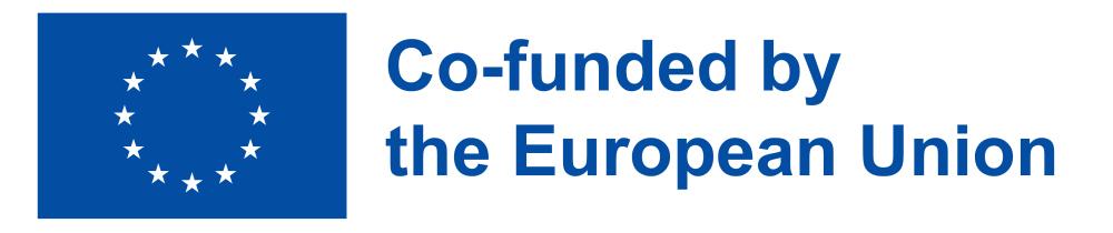 Logo: Co-founded by the European Union