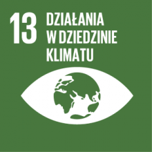 Działania w dziedzinie klimatu ikona trzynastego celu zrównoważonego rozwoju