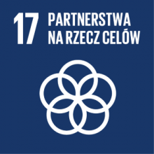 Partnerstwa na rzecz celów ikona siedemnastego celu zrównoważonego rozwoju