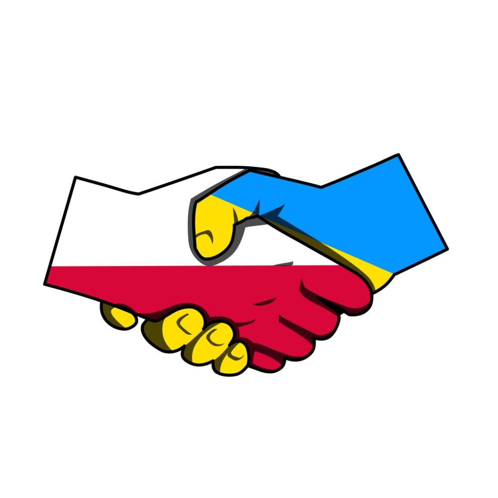  Spójność czy przestrzeń dla eksperymentowania? Analiza reakcji politycznej Polski na kryzys migracyjny wywołany eskalacją rosyjskiej agresji na Ukrainę