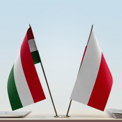 Natura procesów autokratycznych na przykładzie Polski i Węgier
