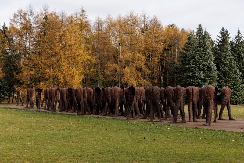 Grupa rzeźb Magdaleny Abakanowicz "Nierozpoznani" w poznańskim parku