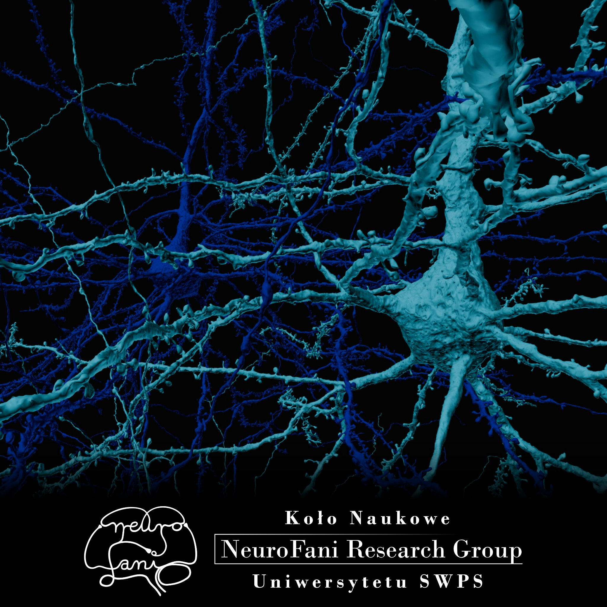 NeuroFani Research Group
