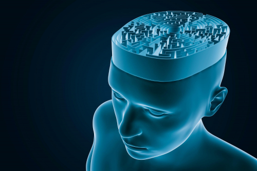 Centrum Neuronauki Behawioralnej